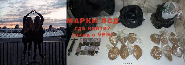 сатива Пересвет