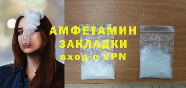 сатива Пересвет