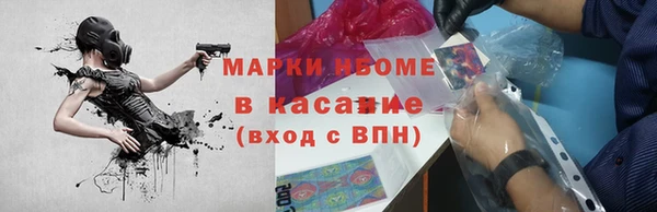 сатива Пересвет