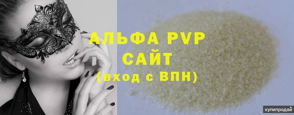 сатива Пересвет