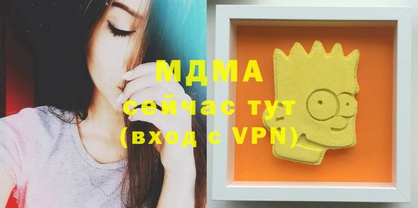 индика Пестово