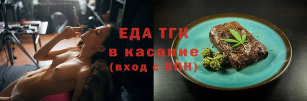 индика Пестово