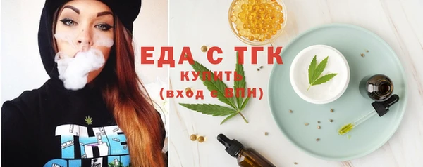 индика Пестово