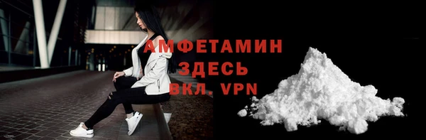индика Пестово