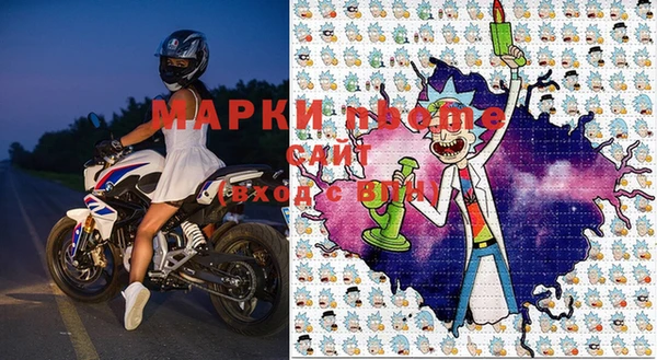 сатива Пересвет