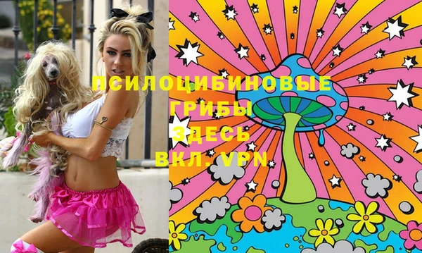 индика Пестово