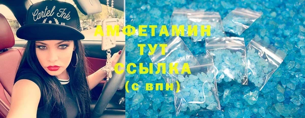 индика Пестово