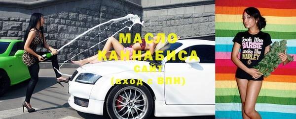 индика Пестово
