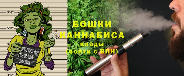 сатива Пересвет