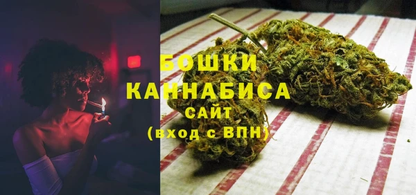 сатива Пересвет
