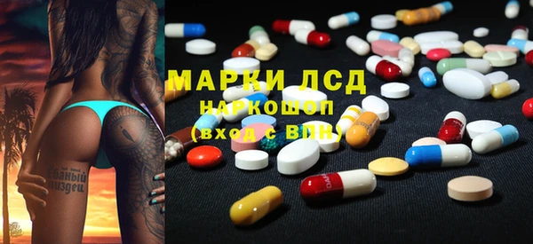индика Пестово