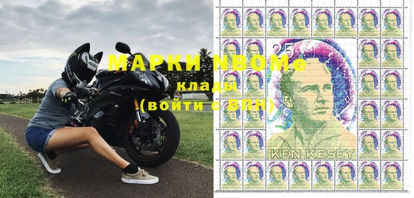 индика Пестово