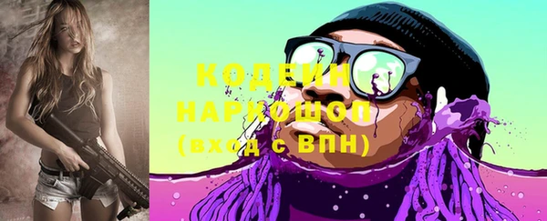 индика Пестово