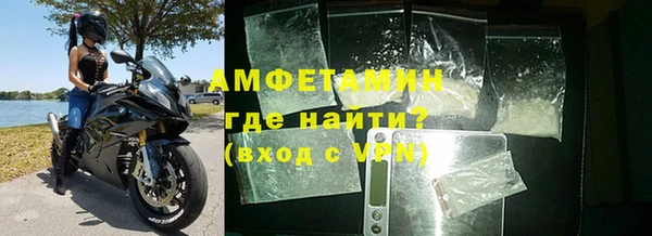 сатива Пересвет