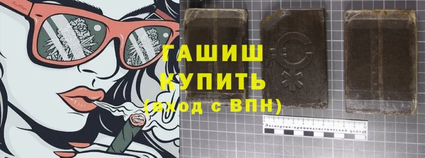 индика Пестово