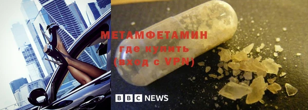 индика Пестово