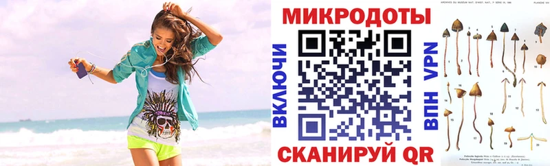 наркота  Боровичи  Псилоцибиновые грибы Psilocybe 